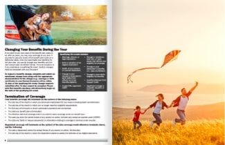 Insurance brochure