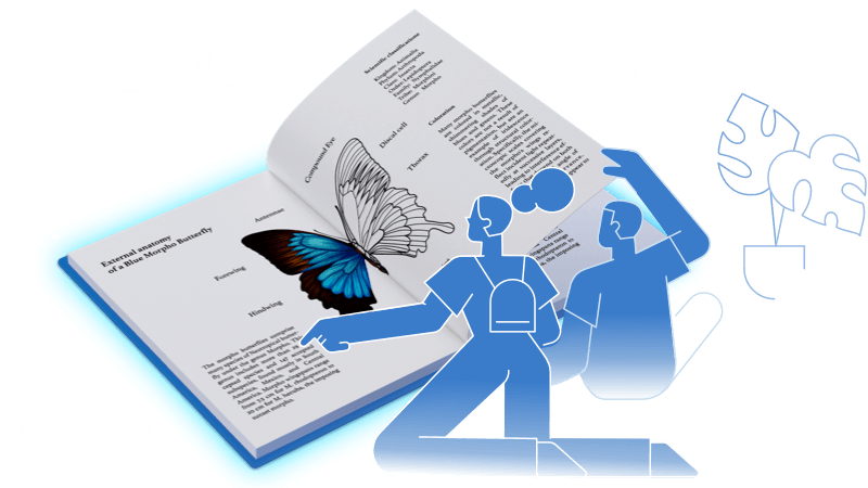 Page flip effect for a real book feel online